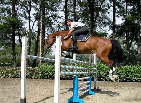 exercise: without mouthpiece, without saddle = total freedom = total contact exercise: without mouthpiece, without saddle = total freedom = total contact