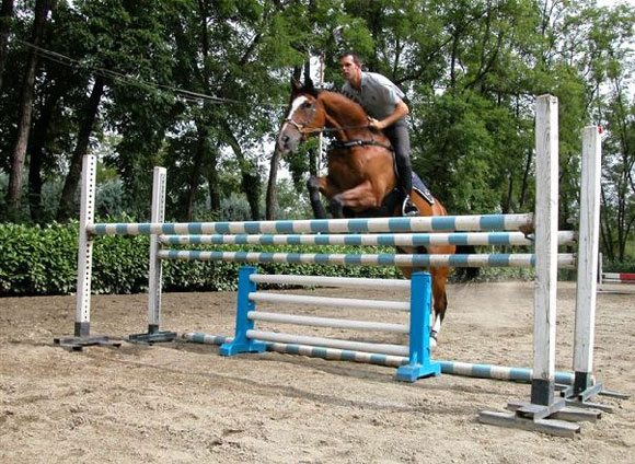 exercise: without mouthpiece, without saddle = total freedom = total contact exercise: without mouthpiece, without saddle = total freedom = total contact