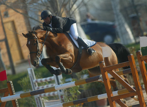 Giampiero Carta using Total Contact saddle at International Competition Giampiero Carta using Total Contact saddle at International Competition