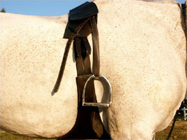 The Total Contact saddle