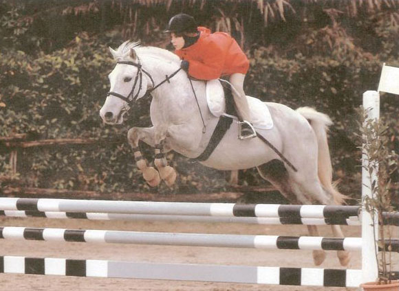A young rider in her first competition with Total Contact A young rider in her first competition with Total Contact